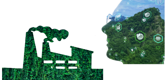 Industria sostenible con innovación en embalaje ecológico y reducción de impacto ambiental