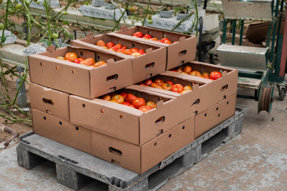 optimizar producción con maquinaria sostenible